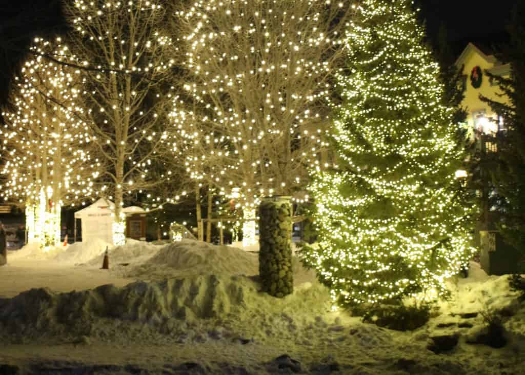 Outdoor Christmas lighting display