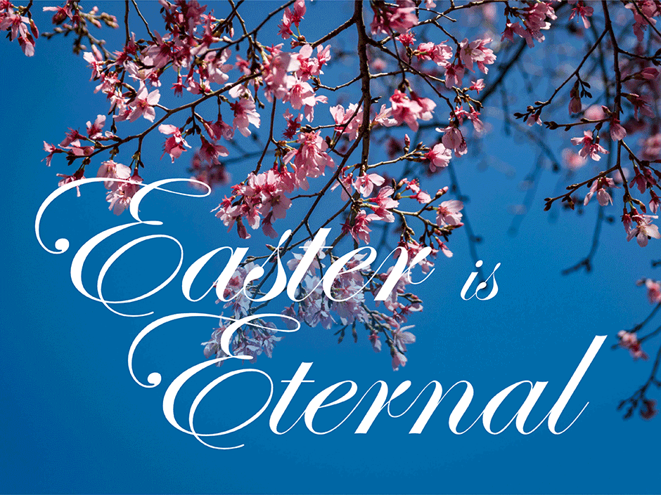 Easter Follow-Up Ideas for Churches: Keep Faith Blossoming All Year Long